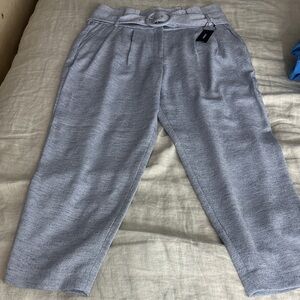 Express Light Gray Dress Pants